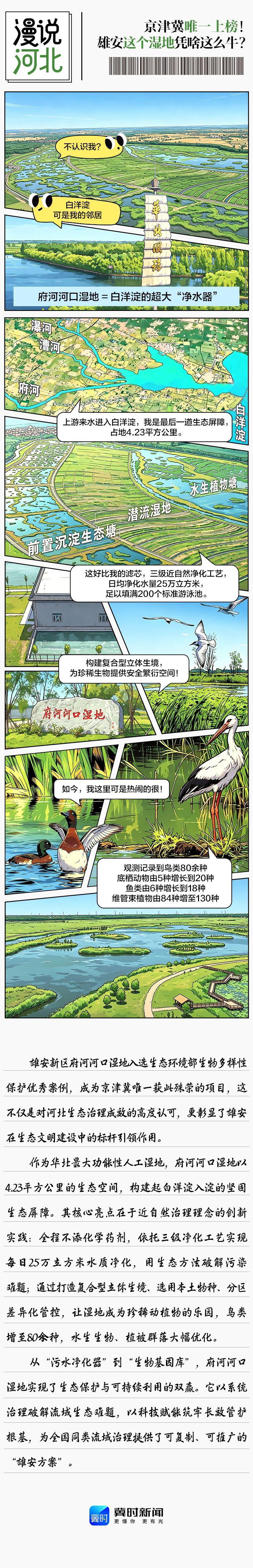 漫说河北丨京津冀唯一上榜！雄安这个湿地凭啥这么牛？