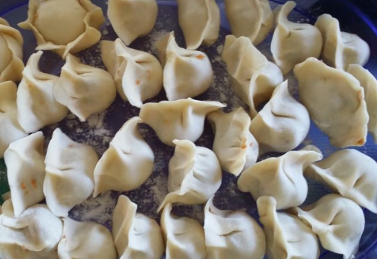 饺子图片(dumpling-BY)