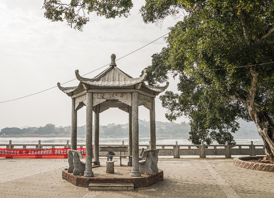 平南"白马双英" 背后的故事,你了解多少?