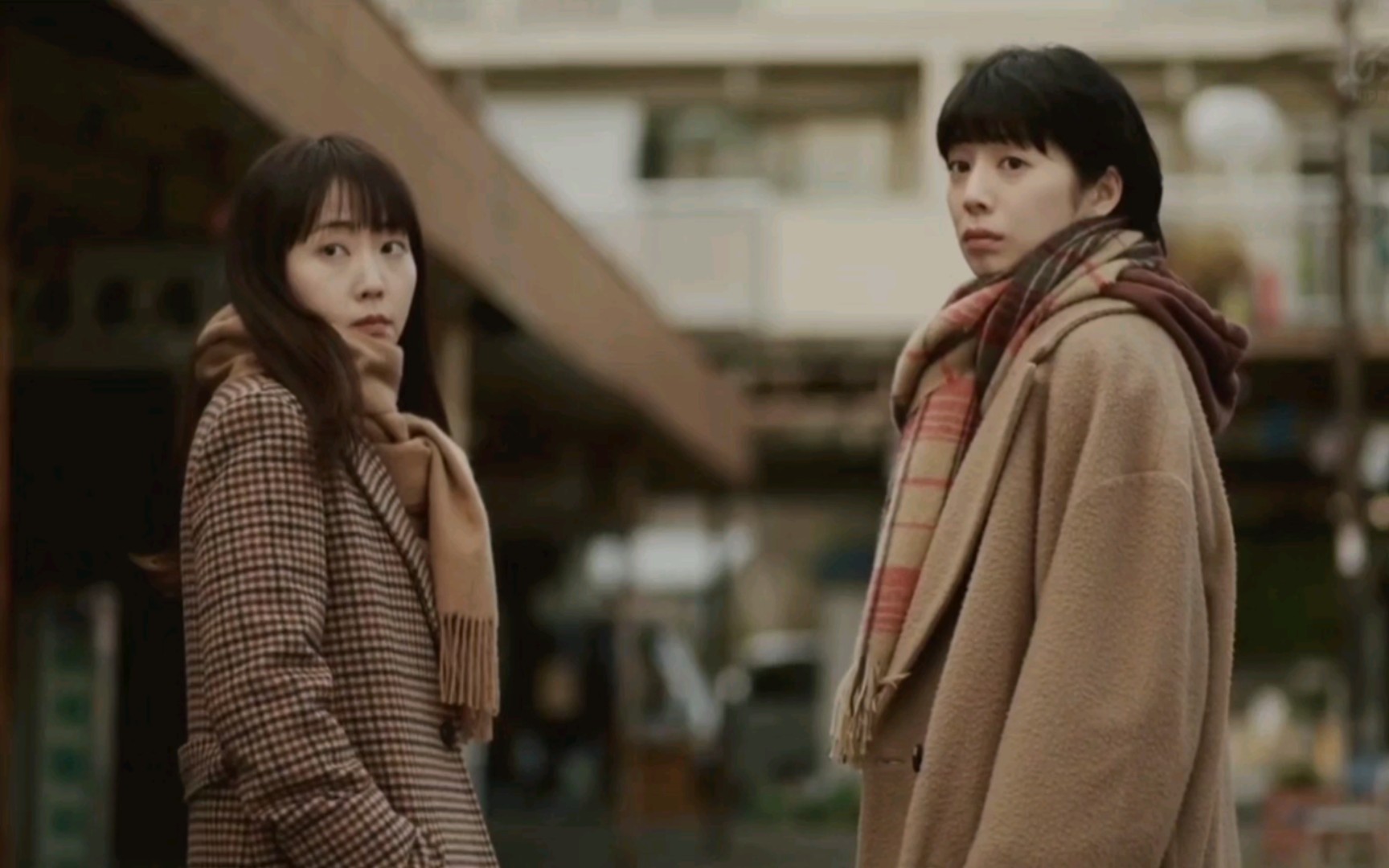 上海电视节|优秀海外展播剧首登黄金档,《重启人生》《参与其中》东方