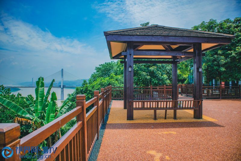 重庆大渡口:思源公园远眺 景色美如画