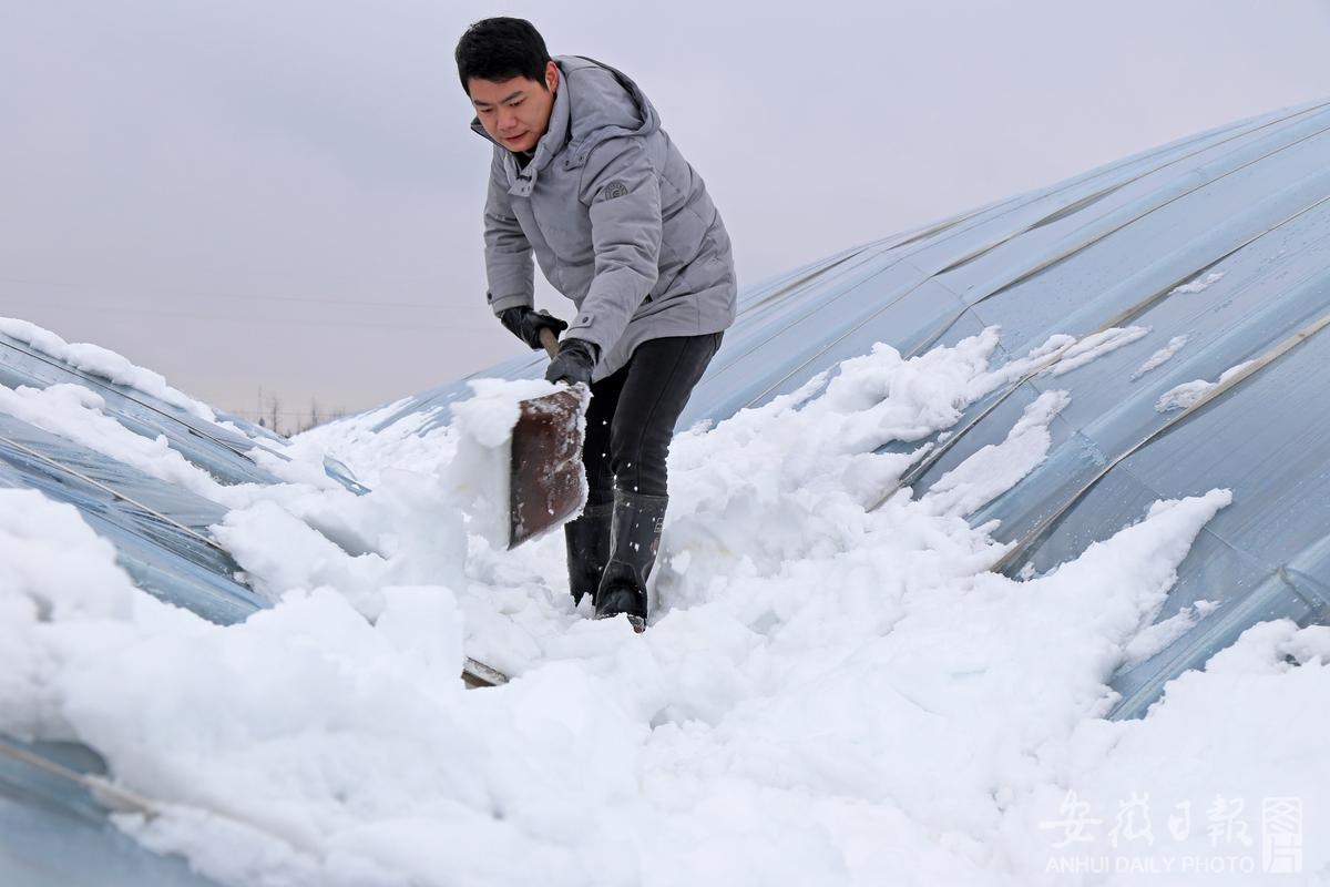 大棚除雪保生产