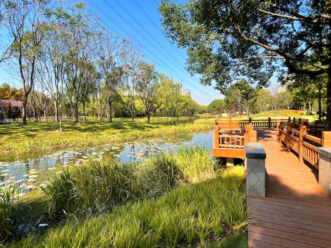 好消息浦东这2处公园元旦起对外开放