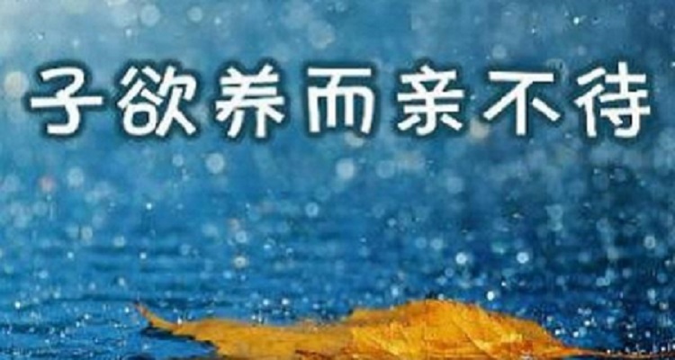 子欲养而亲不待,树欲静而风不止意思