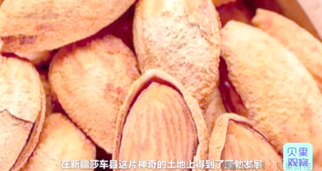 巴旦木新疆有吗