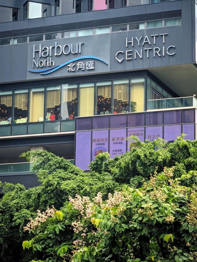 香港维港凯悦尚萃酒店入住体验