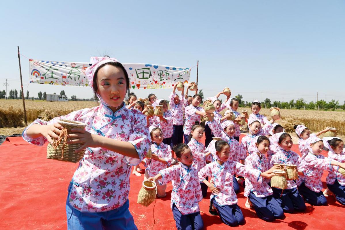 河南沁阳 师生感受农耕气息 一场田埂上的演唱会