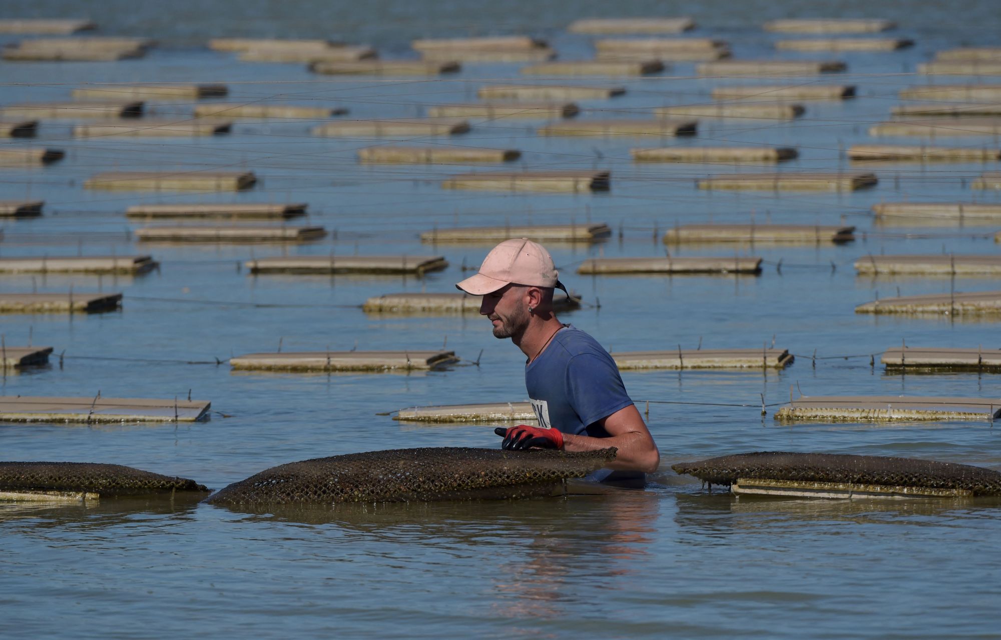 (3)西班牙的牡蛎养殖场