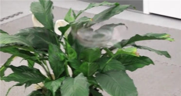 25圈/秒自转 美国搞出“幻影旋翼”无人机 高速旋转瞬间凭空消失