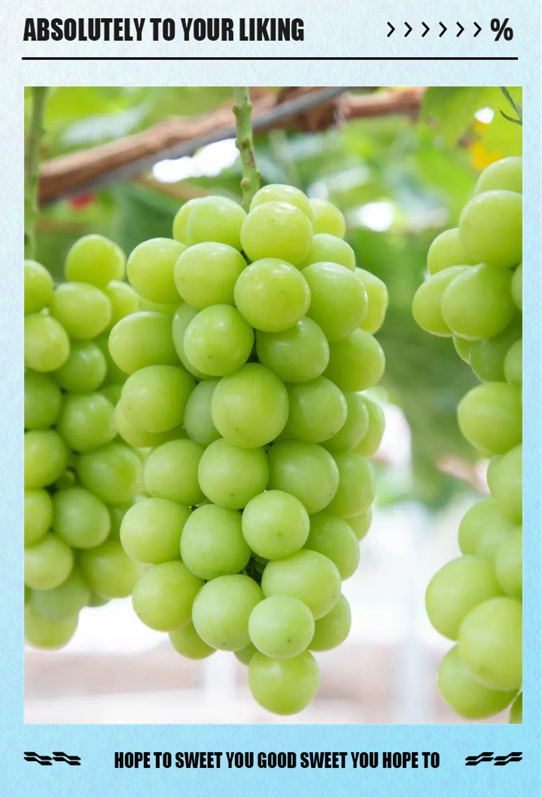 阳光玫瑰葡萄绿色珍珠的丰富营养与饮食禁忌