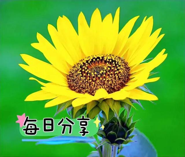 哈尔滨vs烟台