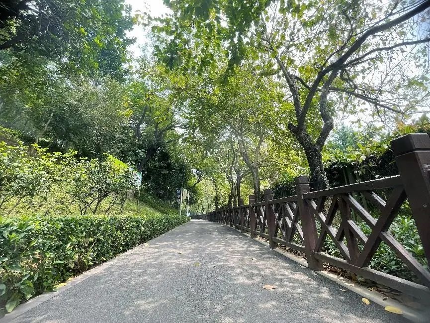 读懂番禺|东环街城北公园:公园改造焕新颜,居民生活更幸福