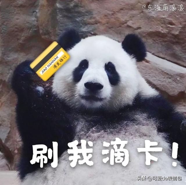 凡尔赛炫富表情包图片