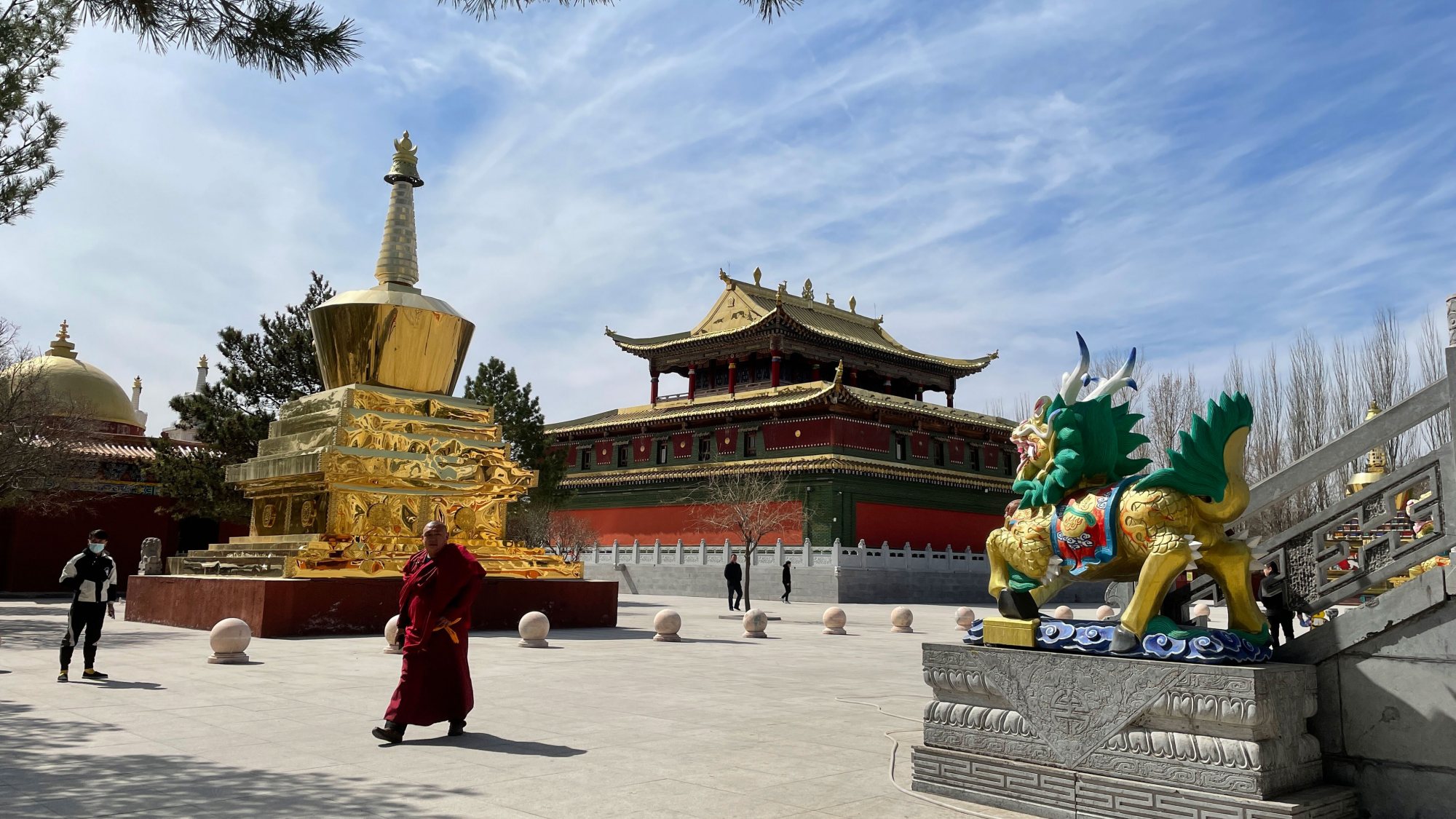 内蒙古通辽市大乐林寺有两棵神树,一棵是自己长出来的,人甚奇之