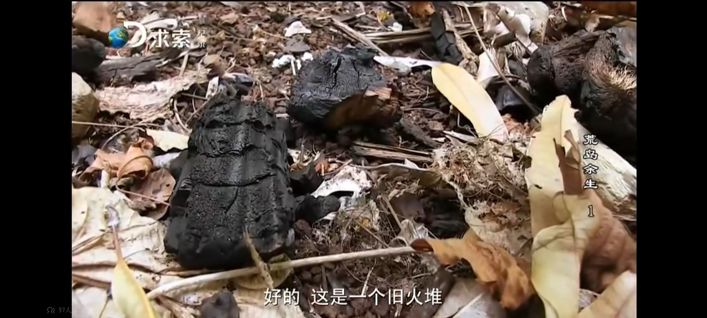 《荒岛余生60天》第二集,看德爷如何绝境逢生