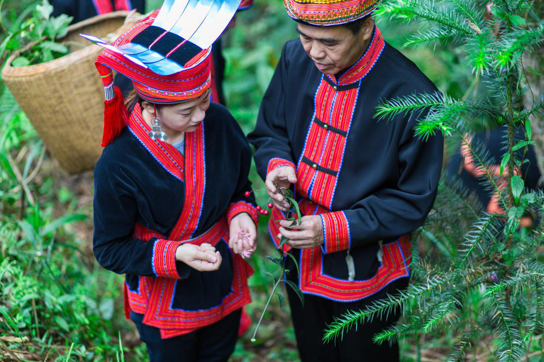 非遗成为老百姓身边的好瑶医记广西金秀县非遗传承人卓礼信