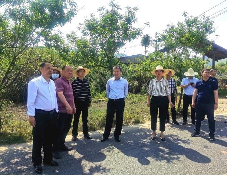 李黎明赴苏仙区调研指导乡村振兴工作