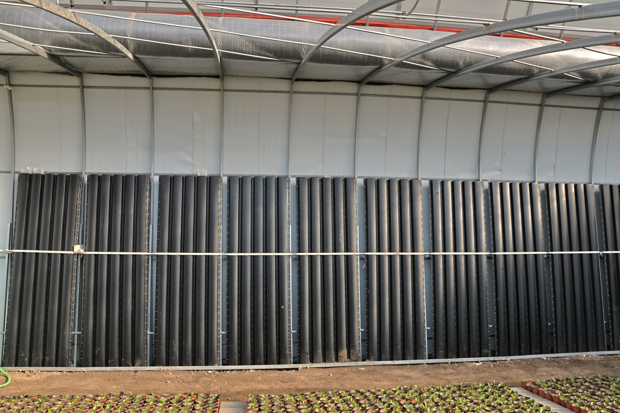 新型双层日光温室大棚:加速乡村振兴的新引擎