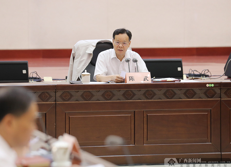 陈武主持召开自治区政府常务会议