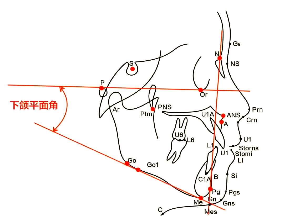 深入了解头影测量中的多种角度项目
