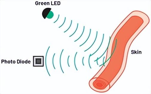 想让可穿戴设备拥有临床级ppg?看这里就对了