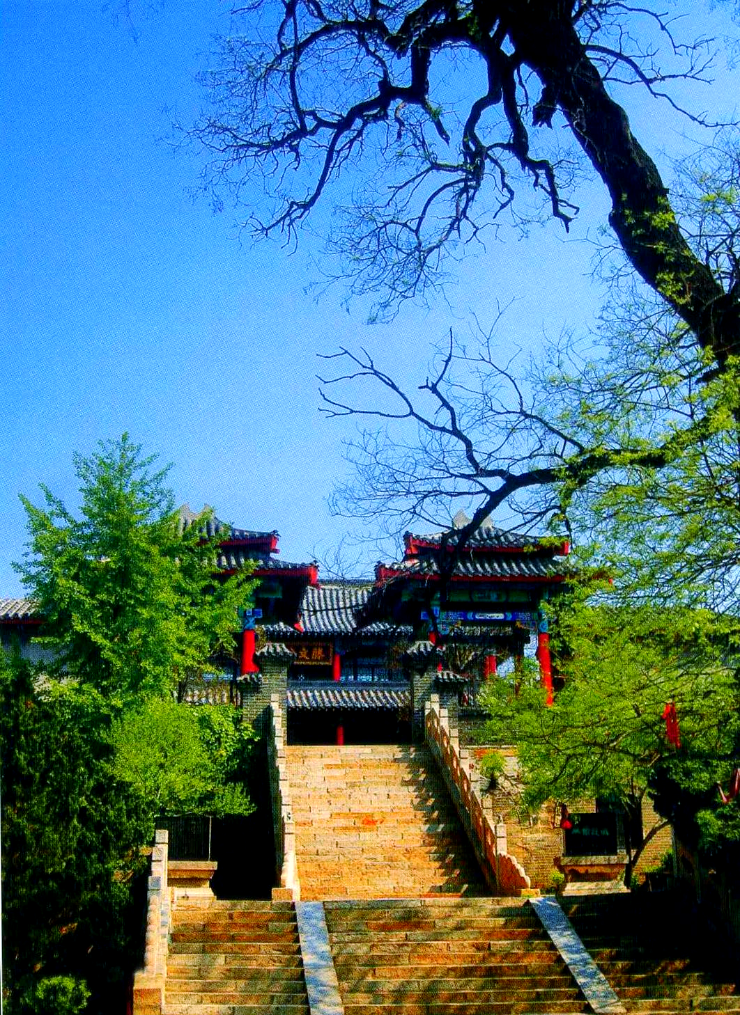 滕州深谙文旅融合之道,致力于打造多样化的旅游业态,推动乡村振兴