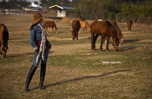美国西部开拓时代:牛仔,探险家与拓荒者的传奇