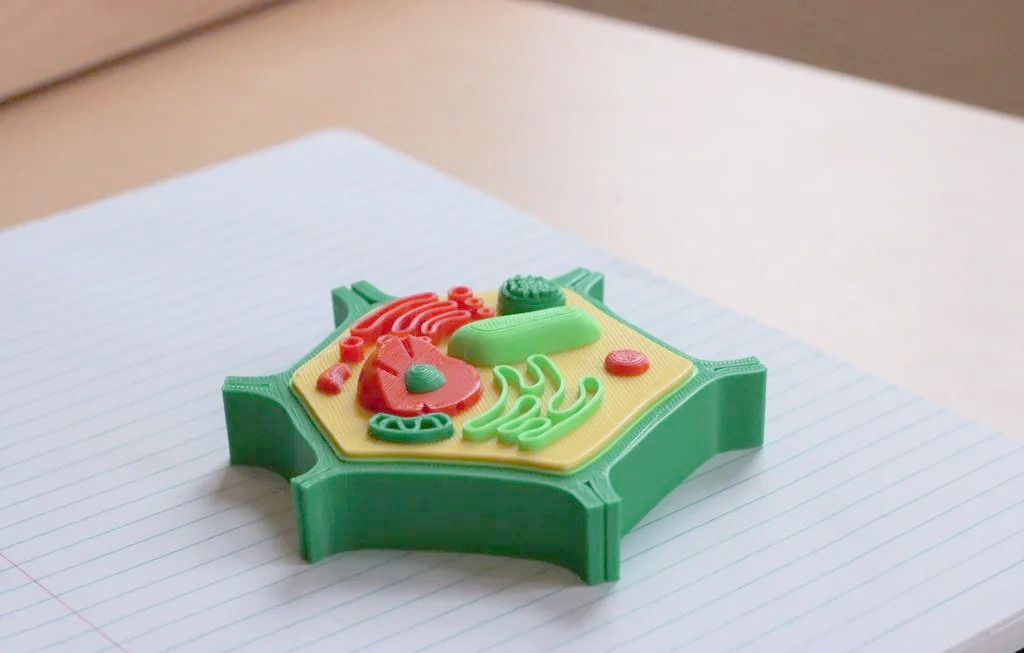 多种3d打印细胞模型,生动展示生物学知识