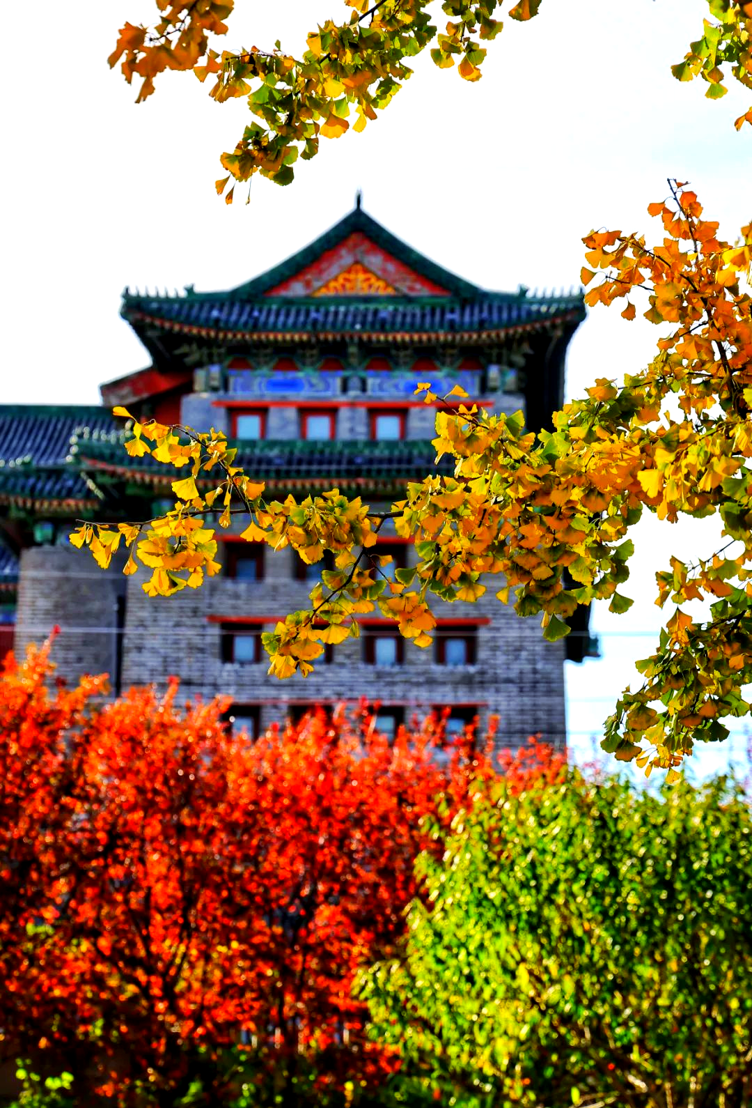 探秘北京:明城墙遗址公园的隐藏魅力与历史故事