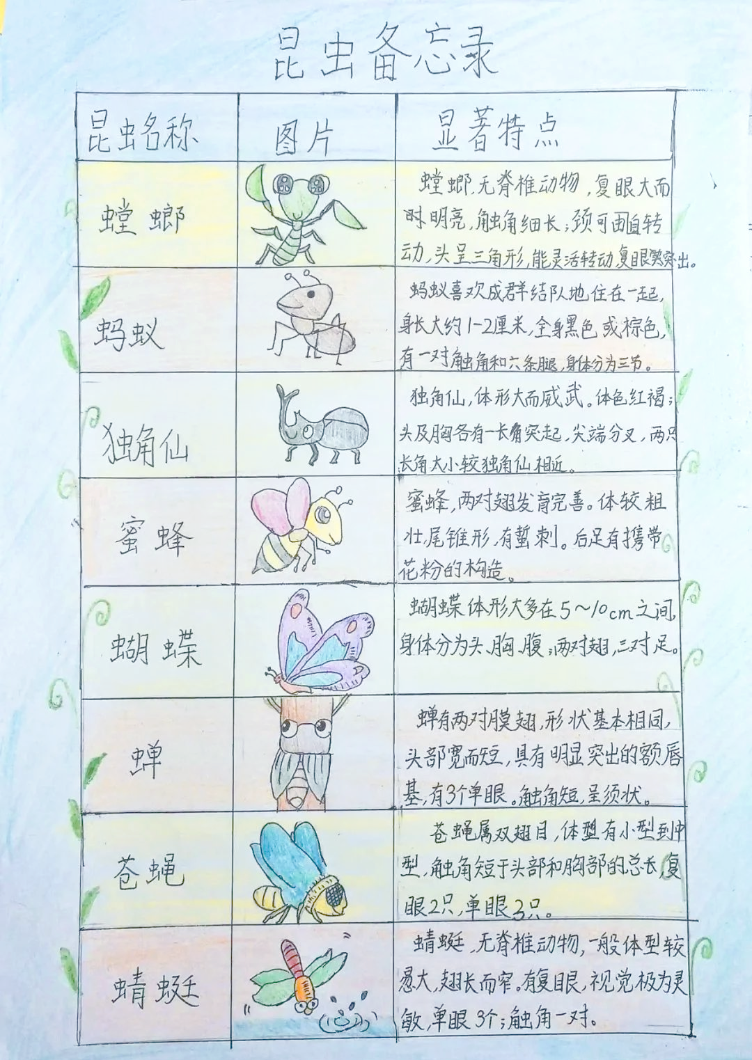 《昆虫备忘录》的生动描绘与孩子们的综合探索