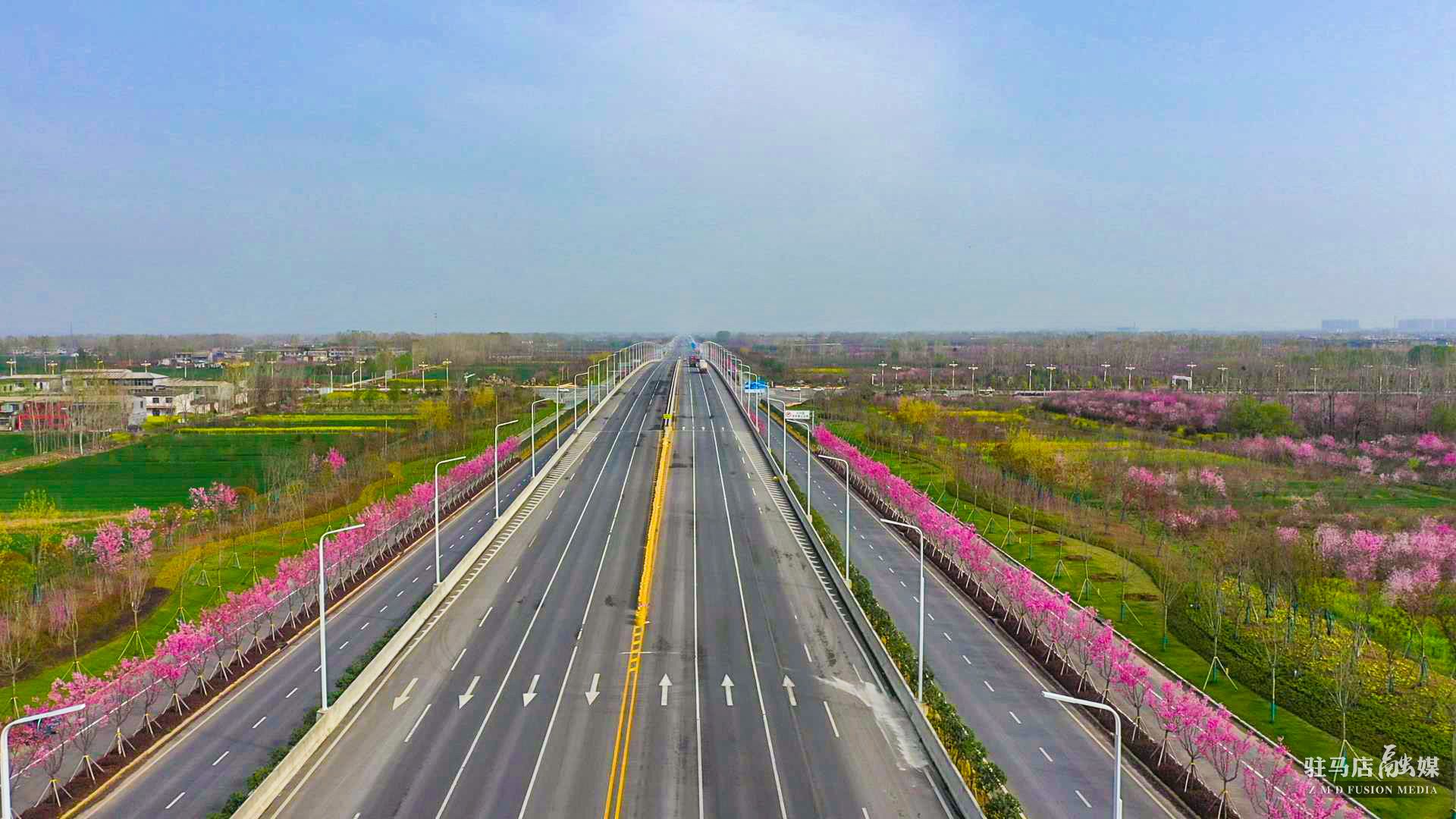 驻马店:嫘祖大道——樱花大道