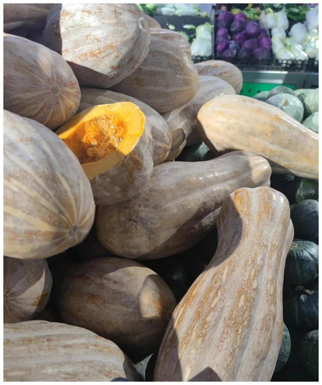 这种外形奇特的瓜,居然叫方瓜