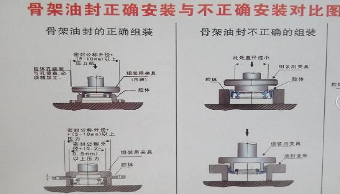 骨架油封的安装方向图片