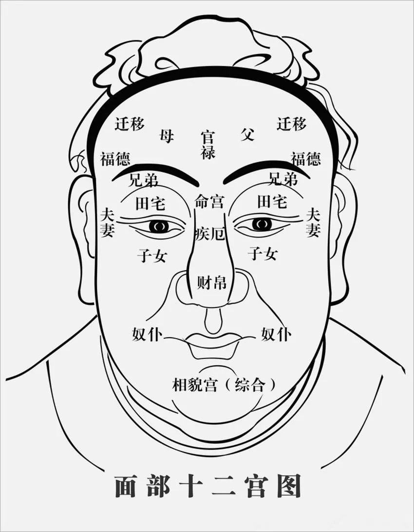 缺德纹图解图片