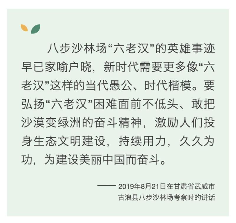 鏡觀·領航丨築牢祖國綠色生態屏障