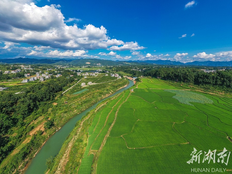风吹稻花香两岸