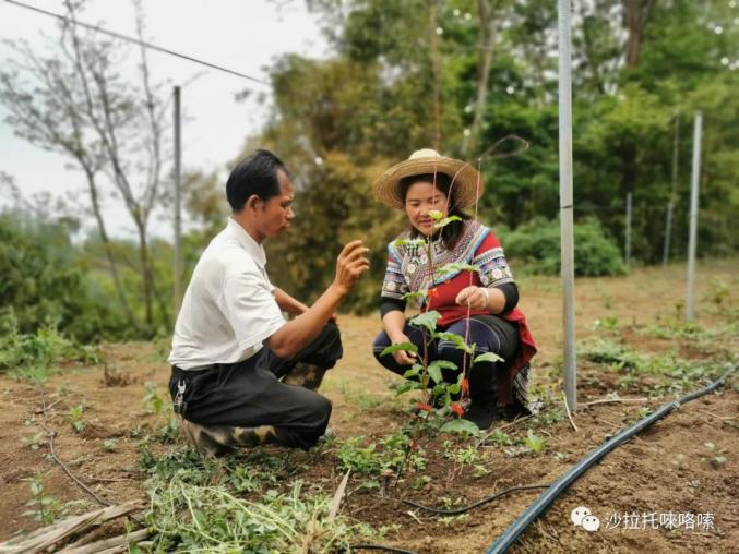 转作风,提效能 | 沙拉托乡:"五大评比"助推"两个革命"