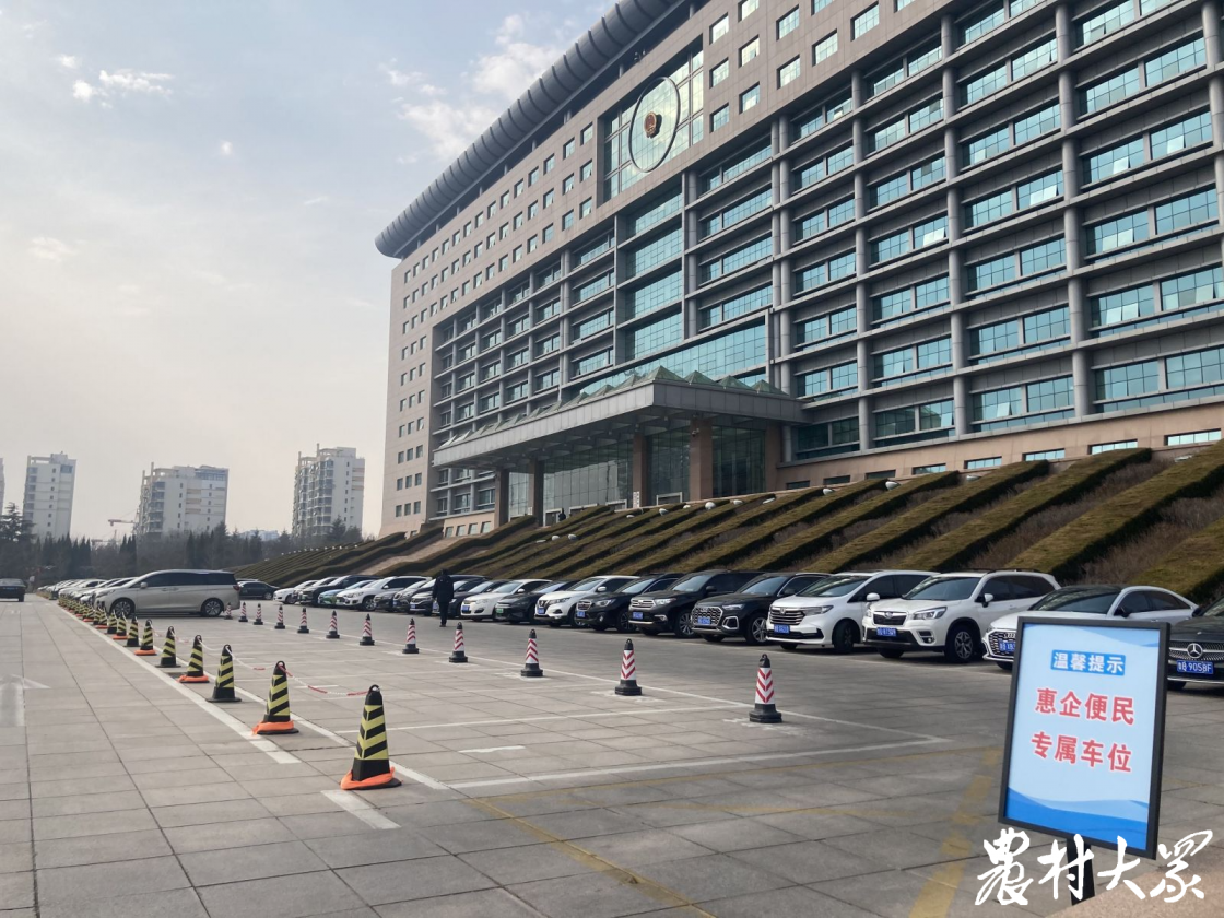 政府大院免费停车!莱西划定"专属车位",面向社会全天候开放