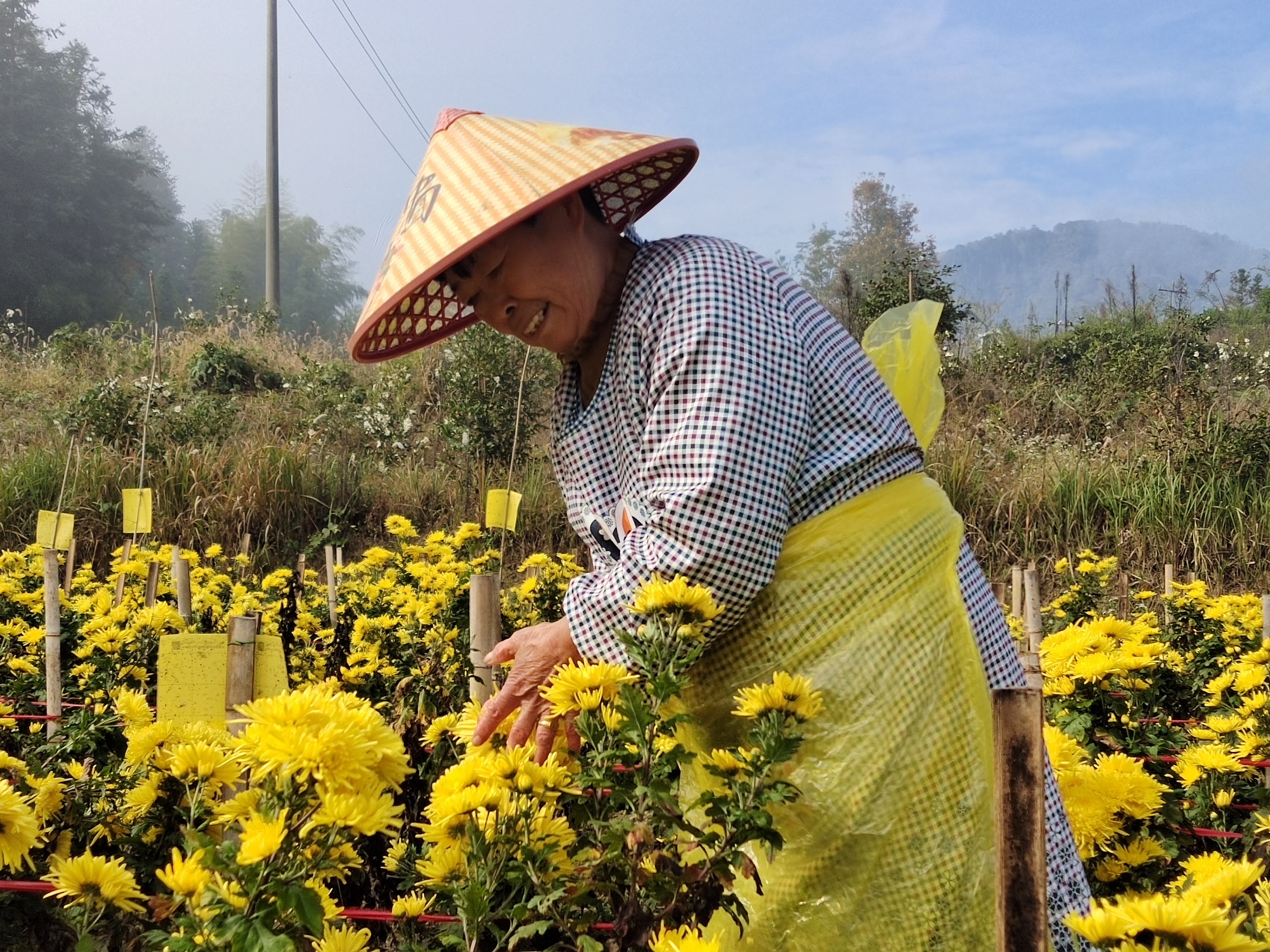 黄山三口镇:"五要素" 打造乡村新面貌