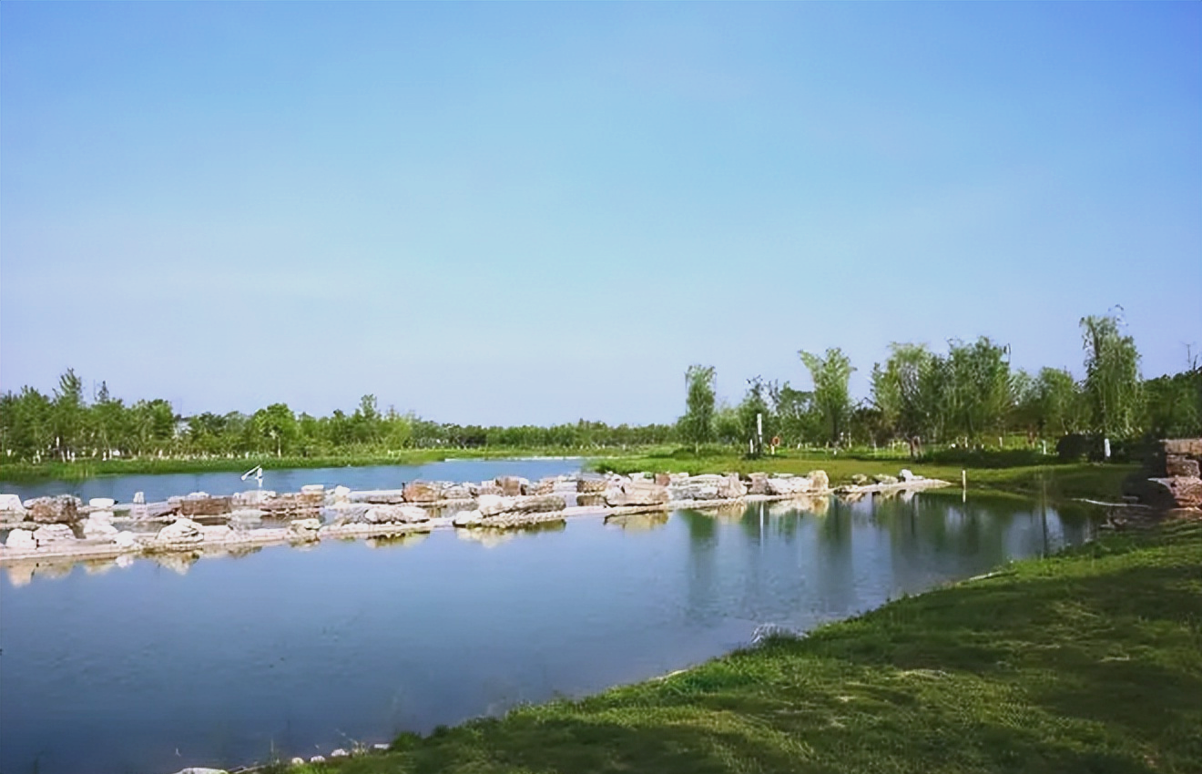 秦汉新城渭河湿地公园的休闲之旅:自然与欢乐的完美结合