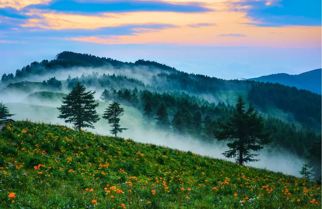 这,就是保定|玖 · 森林城市