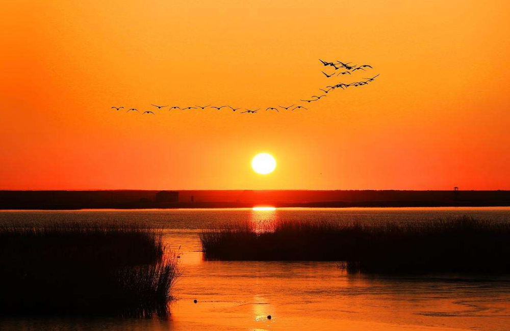 落霞与孤鹜齐飞表达什么情感