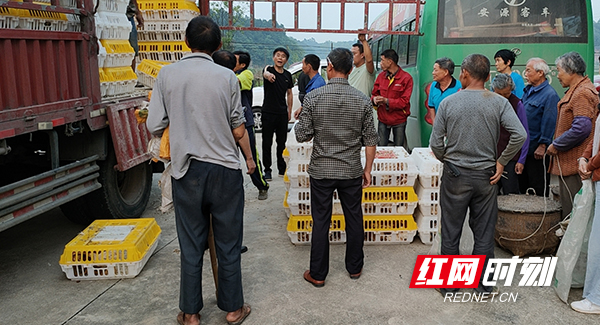 衡山县新桥镇:300余贫困户喜领帮扶物资