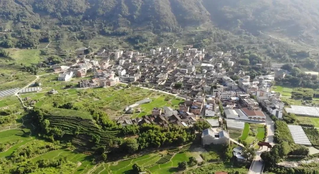 福安市溪柄镇楼下村——生态引擎激发多彩农文旅