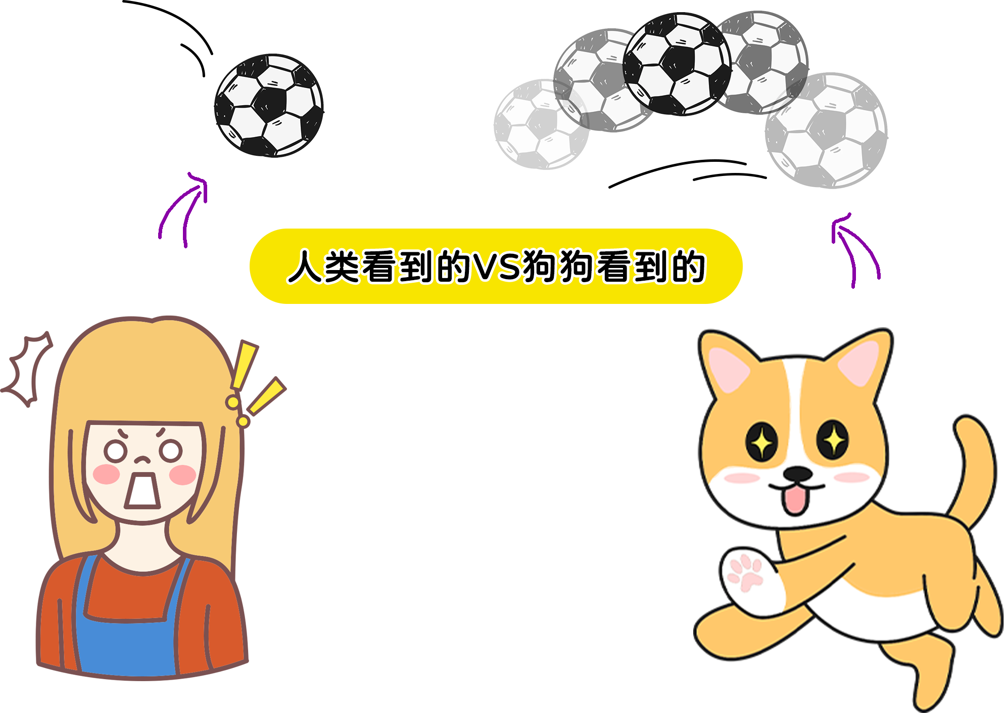 狗狗眼中的世界是什么样的?