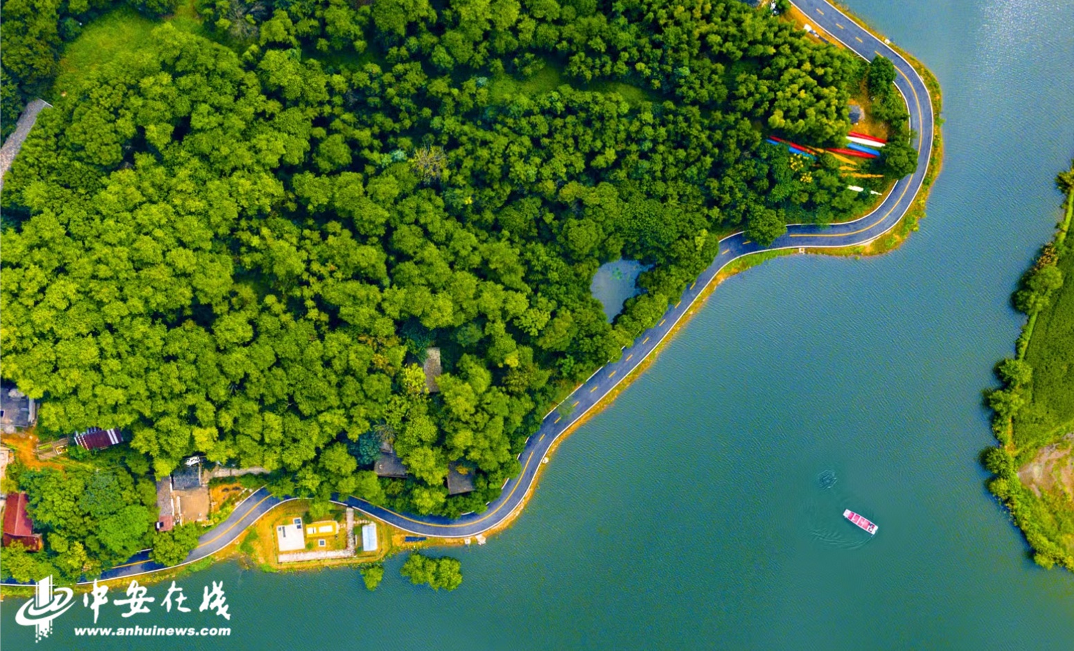 峨桥镇:农旅交融 群众乐享 花香溢满乡村振兴路