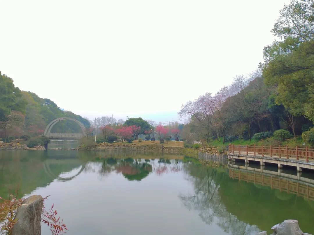 藏在长沙的小众公园真是春日遛娃高颜值