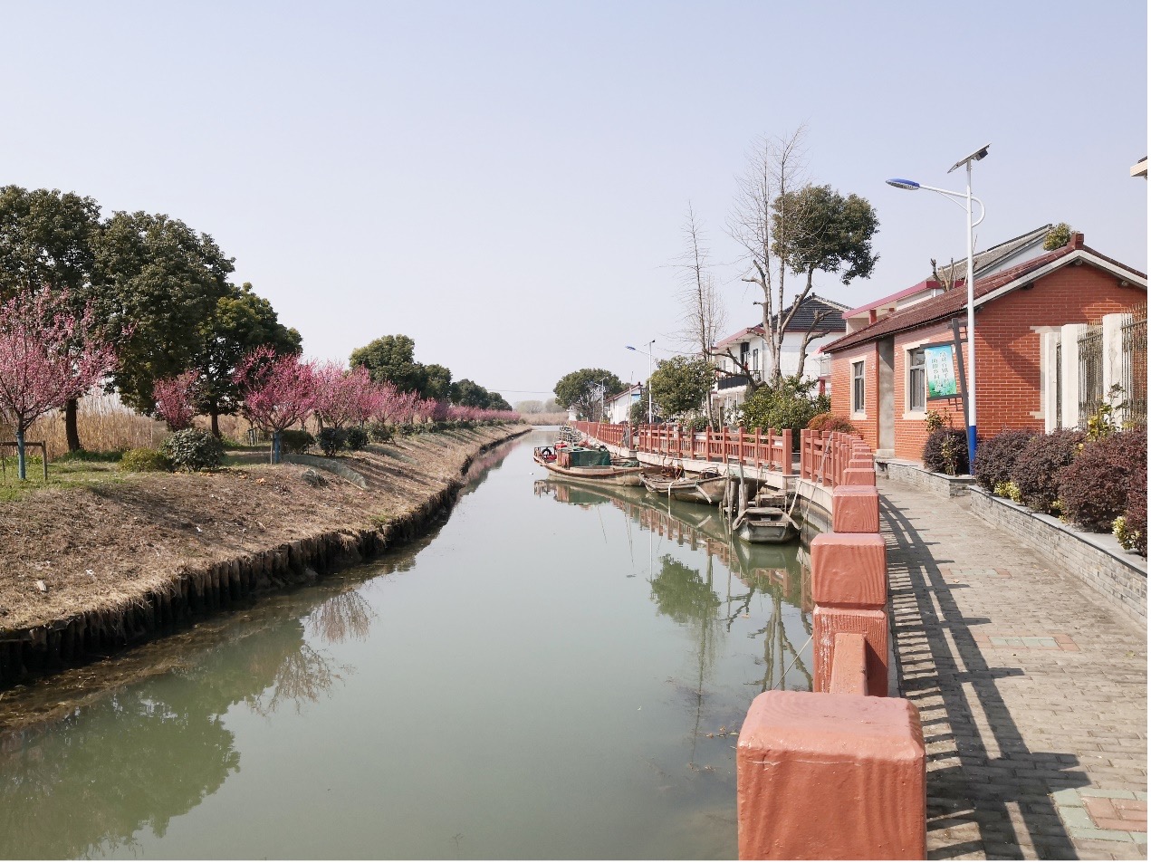 水乡客厅三镇调研②︱金泽镇东西村:当乡村景观成为经济资源