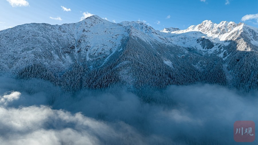 c视觉·云游天府98︱达古冰川 走进冰雪营造的童话世界