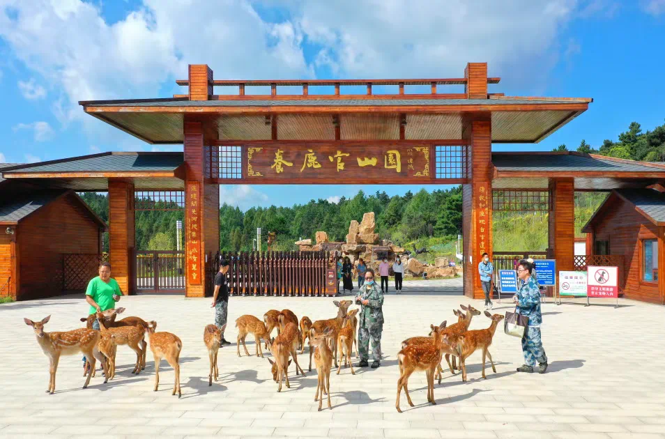 性价比太高了!出行选这里不要太适合